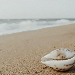 Joyas del Mar