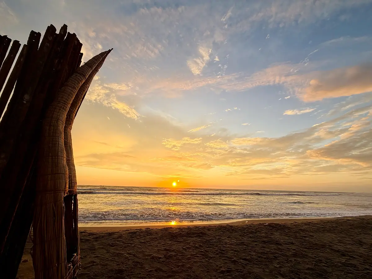 Productos Surfistas para surferos y surferas 